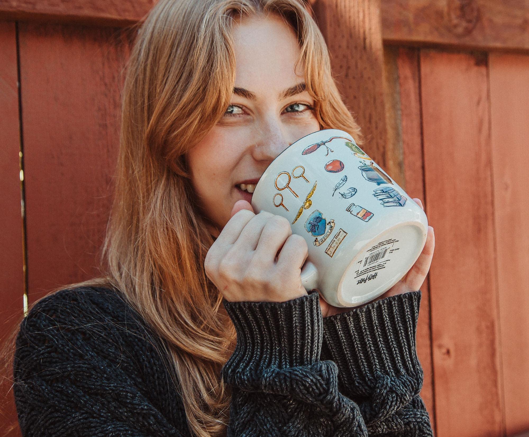 Silver Buffalo Wizarding World kitchenware adding magical charm to meals