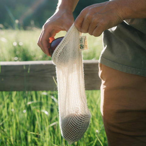 Simple Ecology see through fabric bag shows contents at a glance
