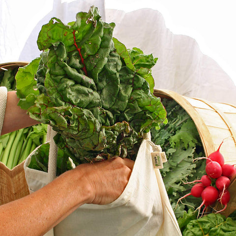 Simple Ecology bags come in large, medium, and small sizes for versatile use.