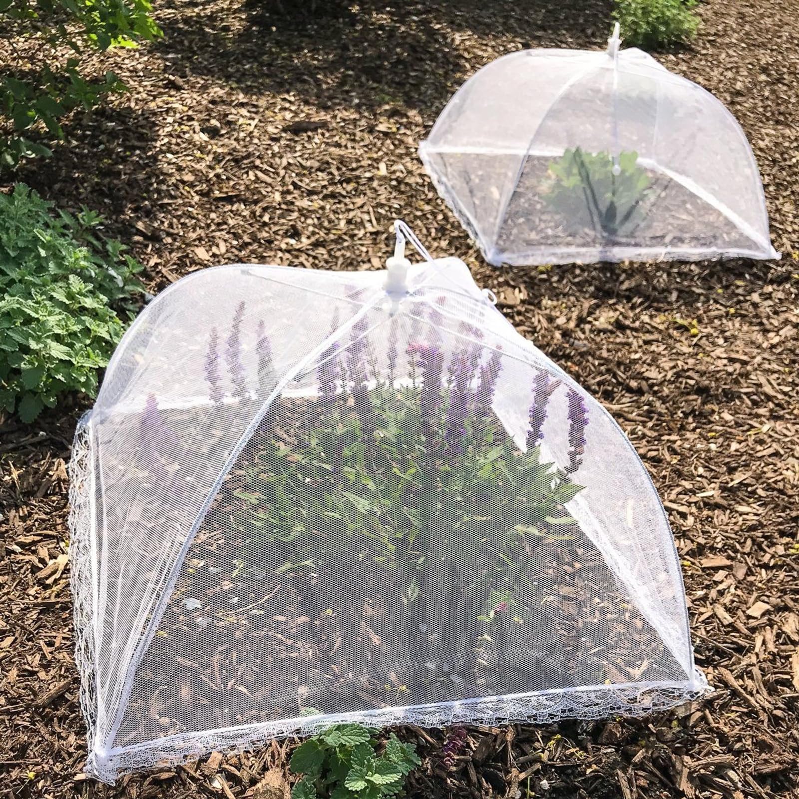 Portable Simply Genius pop-up cover ready for campsite use
