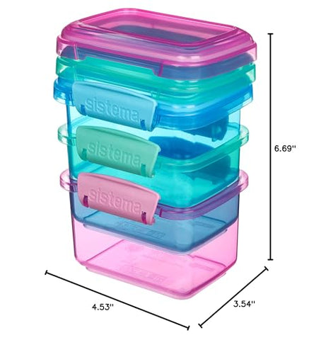 Sistema BPA-free plastic for safe, reusable storage