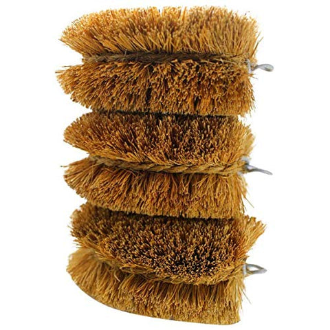 Natural coconut fiber brush for delicate root vegetables cleaning.