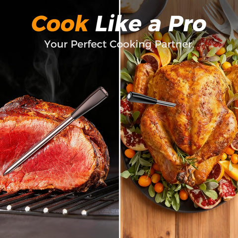 SMNQIUA heat-resistant dishwasher-safe probe stands up to roasting and grilling.