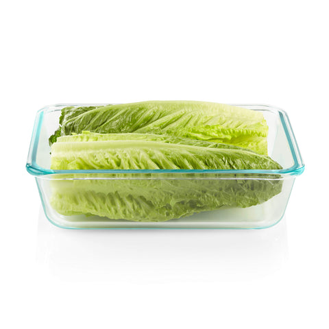 Snapware microwave-safe container ready for quick reheats and prep.