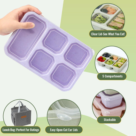 Snuvid bento box five-compartment design supports balanced portions