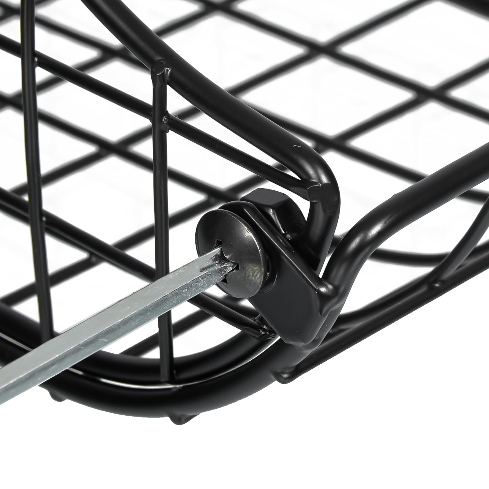 Sonyabecca stacked configuration clarifies can organization on shelves.