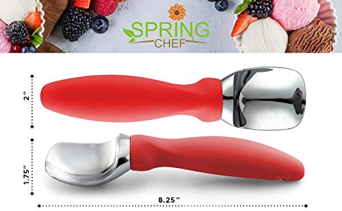 Spring Chef dishwasher-safe scoop cleans up quickly after use