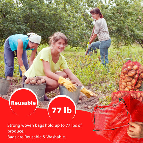 SRXES breathable storage for onions and potatoes with clear airflow