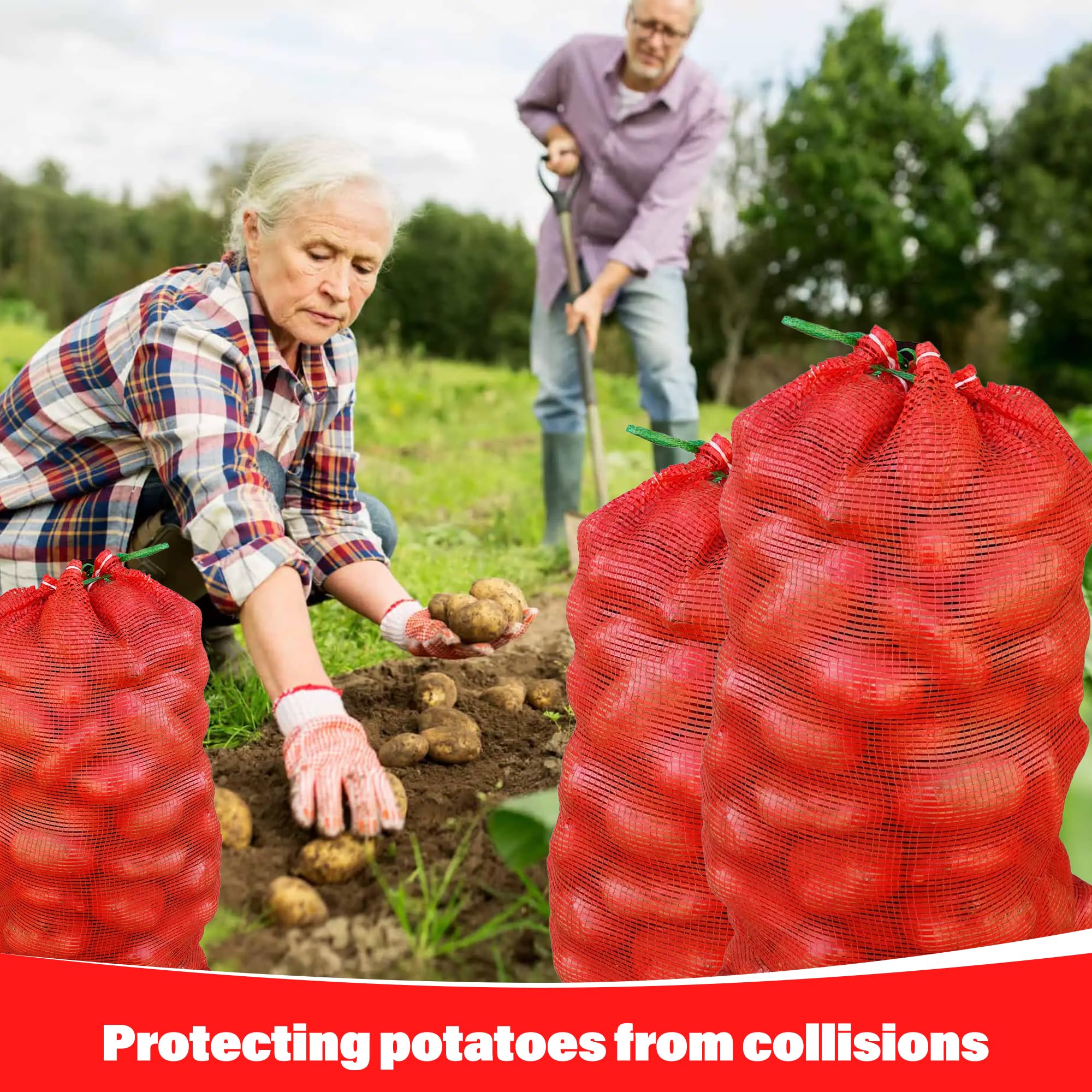 SRXES potatoes and vegetables in mesh bags for easy access
