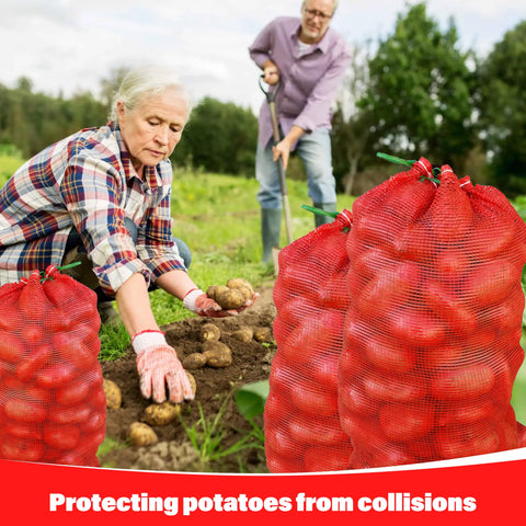 SRXES potatoes and vegetables in mesh bags for easy access