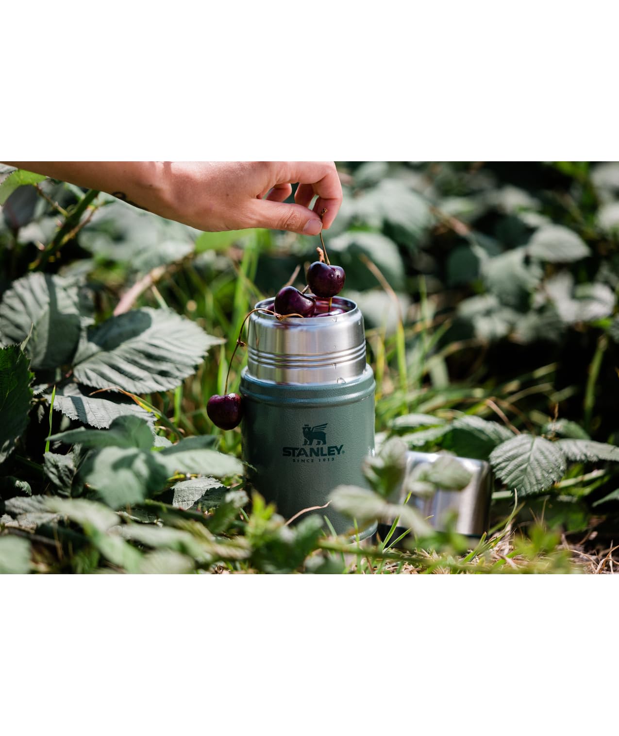 Stanley Classic 24oz in hammertone green, rugged stainless steel for outdoor use.