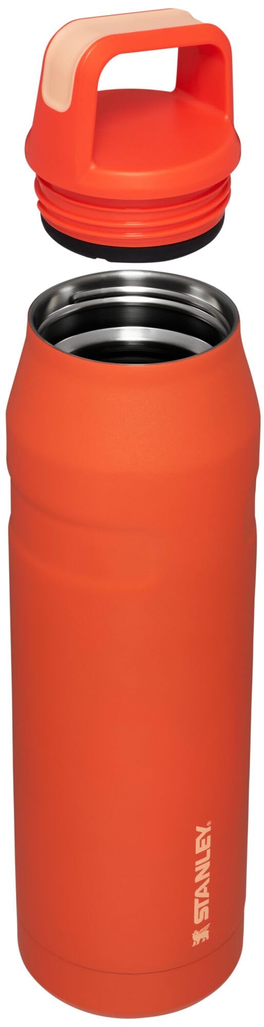 Stanley IceFlow soft-touch grip aids carrying to gym or beach.