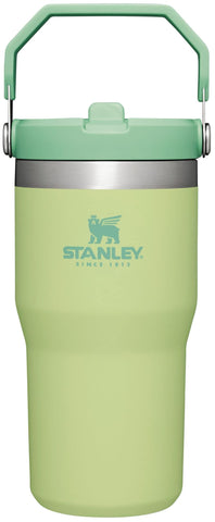 Stanley IceFlow flip straw tumbler 20oz in citron showing secure flip lid for on-the-go hydration.