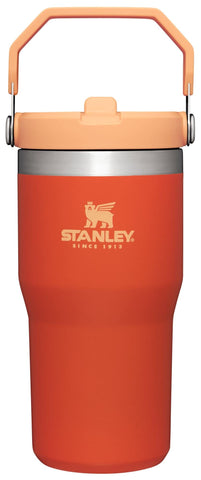 Stanley IceFlow tumbler with flip straw 20 oz keeps drinks cold on the go