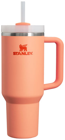 Stanley Quencher H2.0 FlowState lid closed to prevent splashes.
