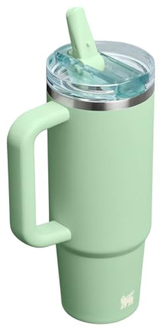 Stanley Quencher ProTour Pistachio with a soft handle fits most cup holders for easy transport.