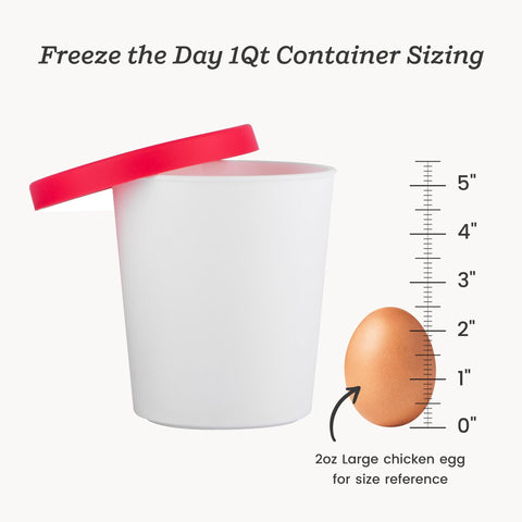 StarPack Freeze the Day containers shown in a dishwasher-safe setup.