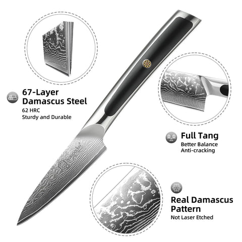 Sunnecko paring knife 3-5 inch VG-10 core close-up highlights sharp edge.