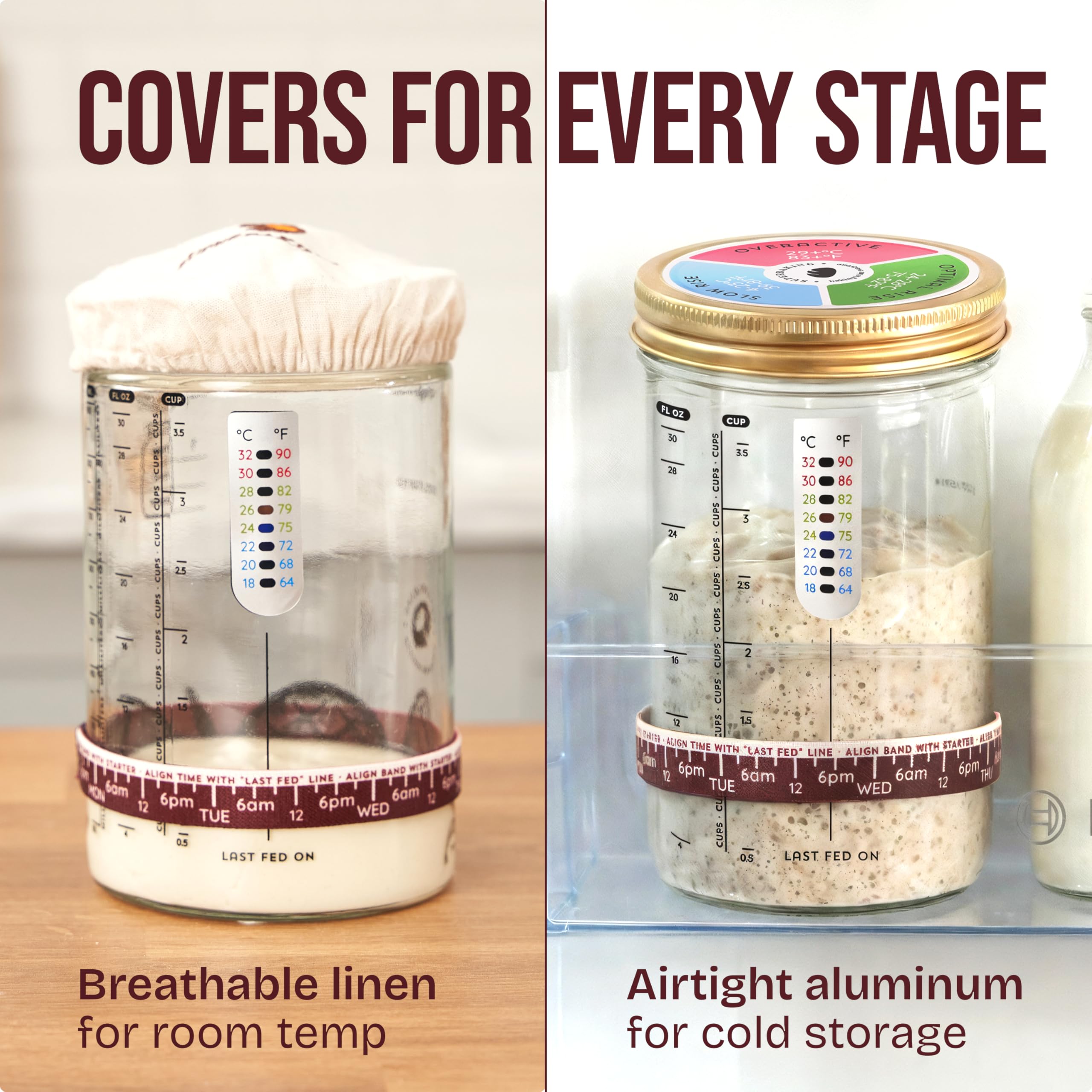 Superbaking starter kit brush for quick, easy cleanup