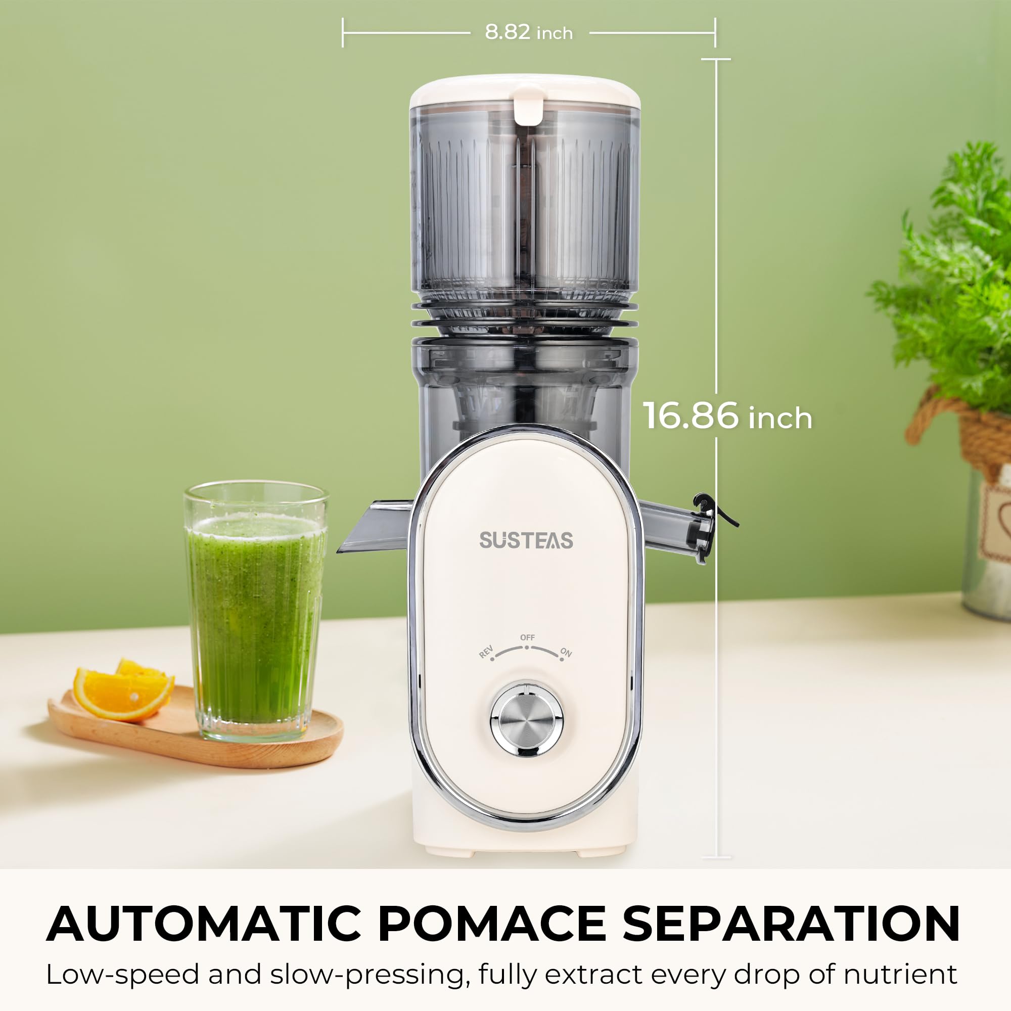 SUSTEAS pulp cup 470ml stores pulp for recipes or composting.