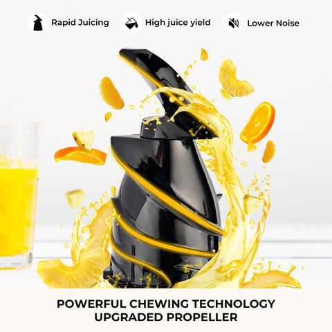Integrated hopper with screen simplifies setup and cleanup.