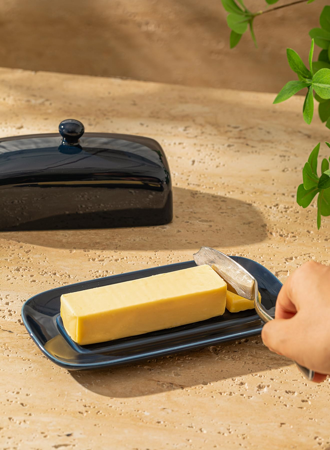Sweese butter dish in refrigerator-friendly design fits a full stick.