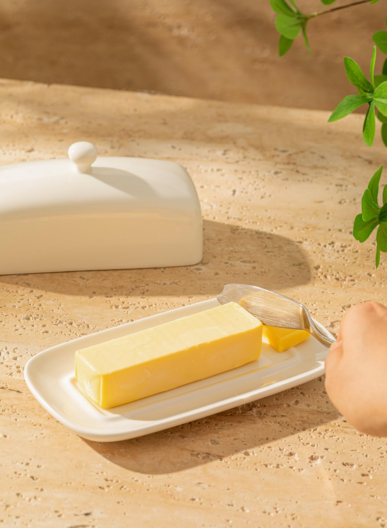 Sweese butter dish mint green adds soft contrast to modern kitchens.