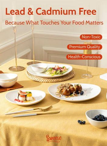 Sweese 11-inch dinner plate shown with a hot dish to illustrate heat readiness