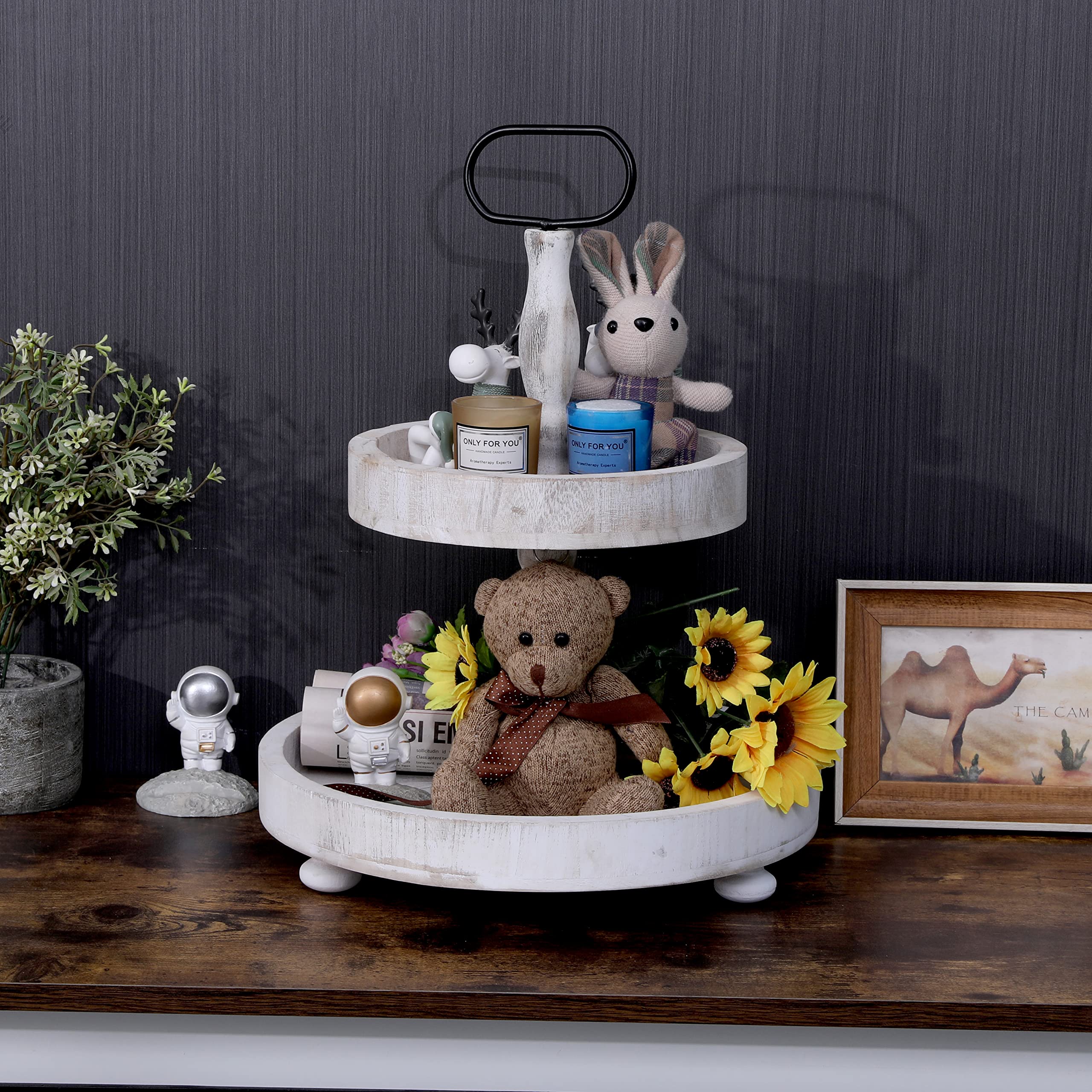 SWT8CAI serving tray for kitchen and living room, ideal for snacks