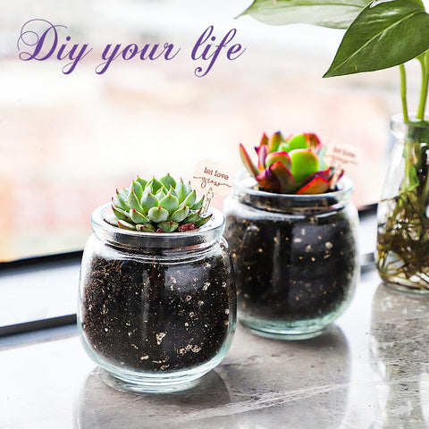 Syntic BPA-free glass ensures safe, reusable kitchen storage.