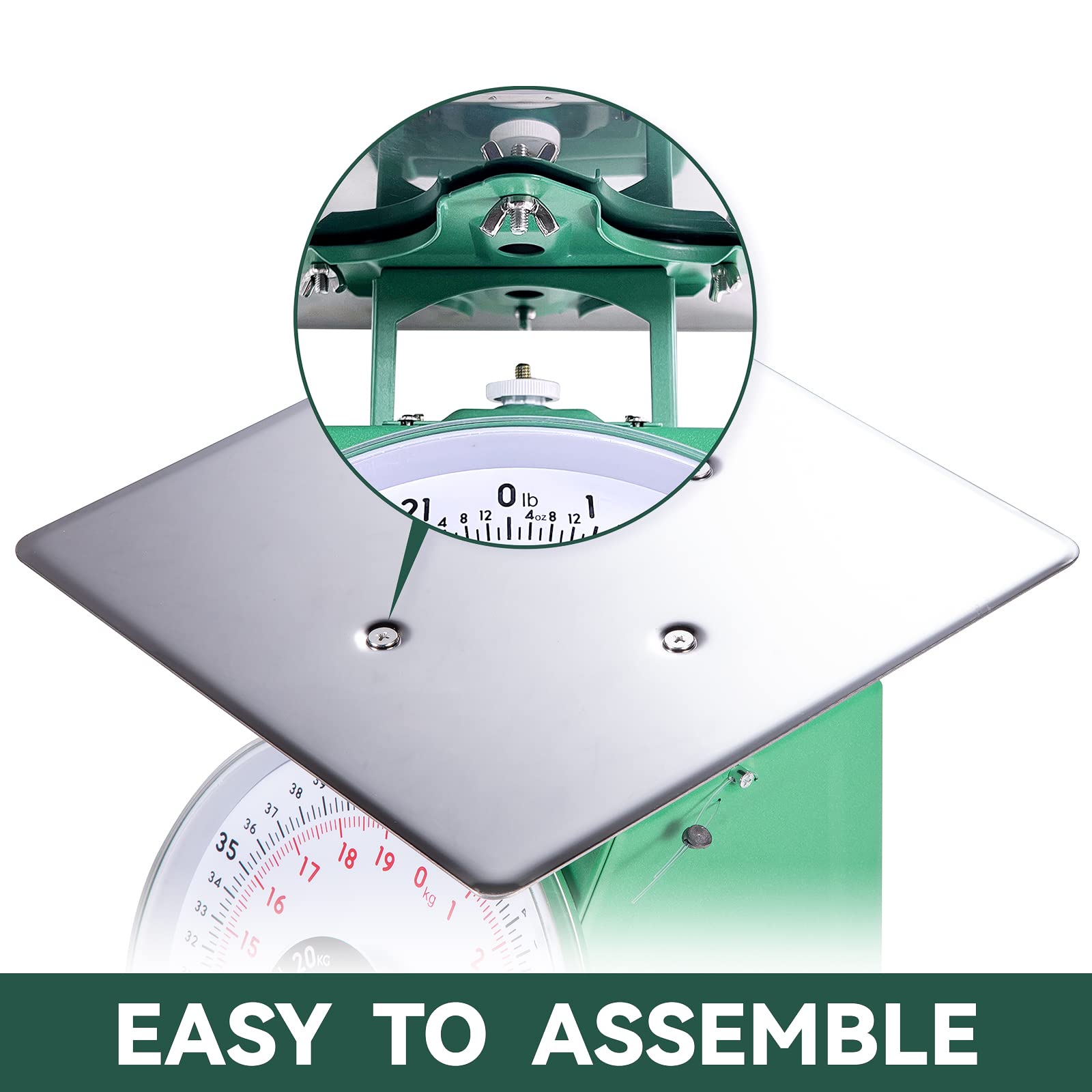 TADA 110-LBS scale with stainless platform for easy cleaning.