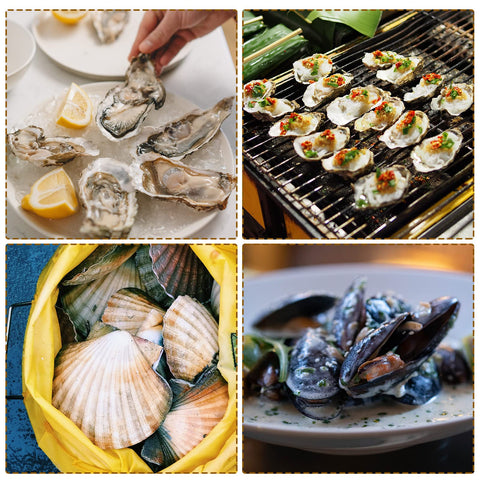 Tarpop gloves in use demonstrate safe grip while opening oysters