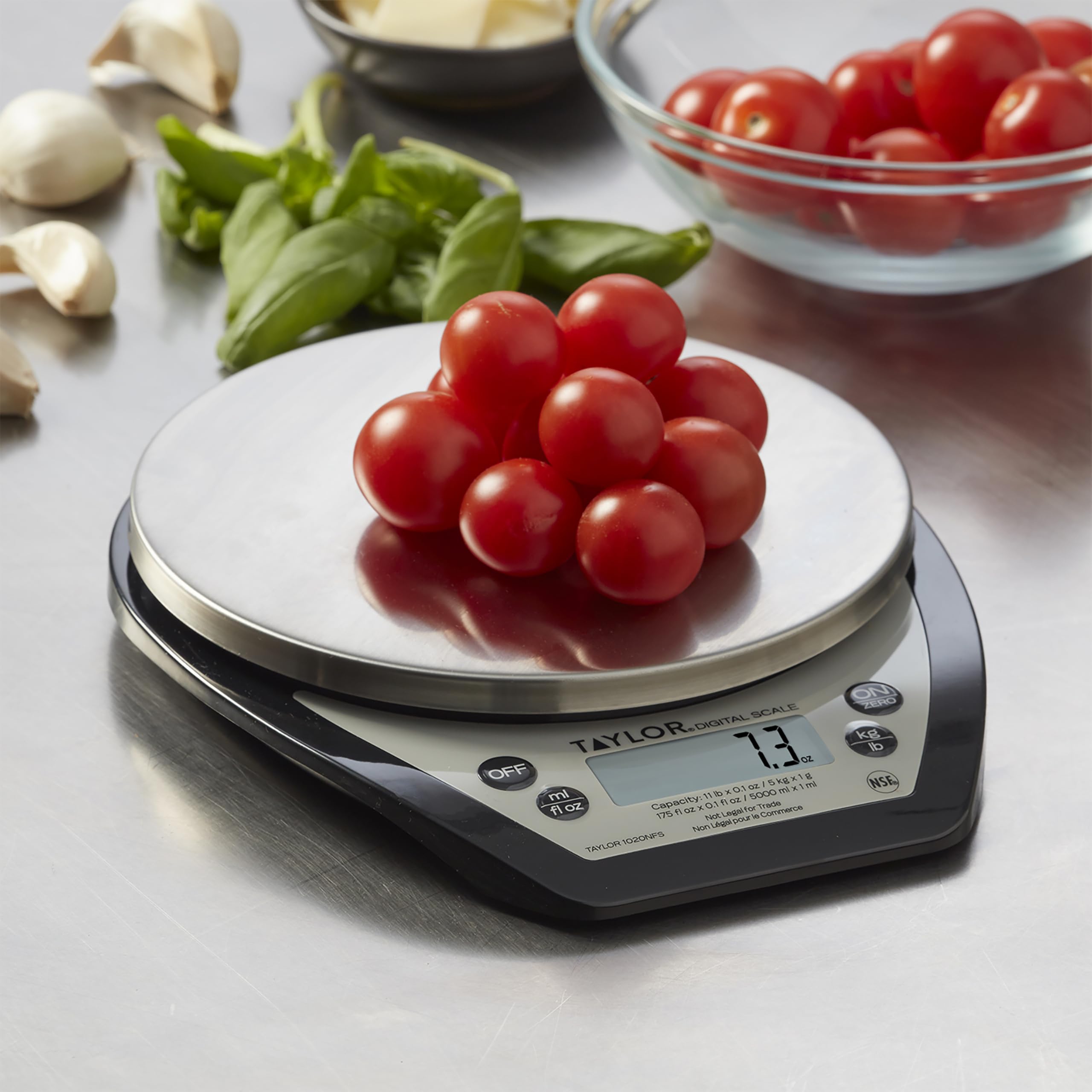 Taylor 1020NFS displays digital readout for precise portion control.
