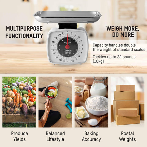 Taylor analog kitchen scale unit conversion from pounds to kilograms.