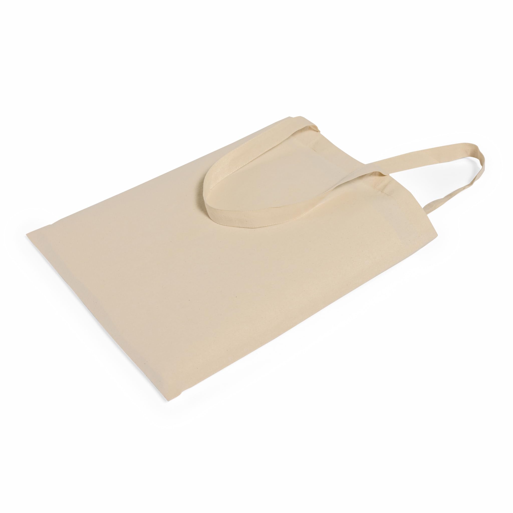 TBF tote with 15x16 inch capacity for groceries and books.