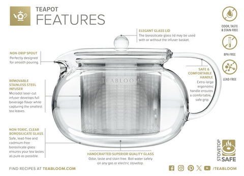 Stainless steel filter inside Kyoto teapot for fine filtration