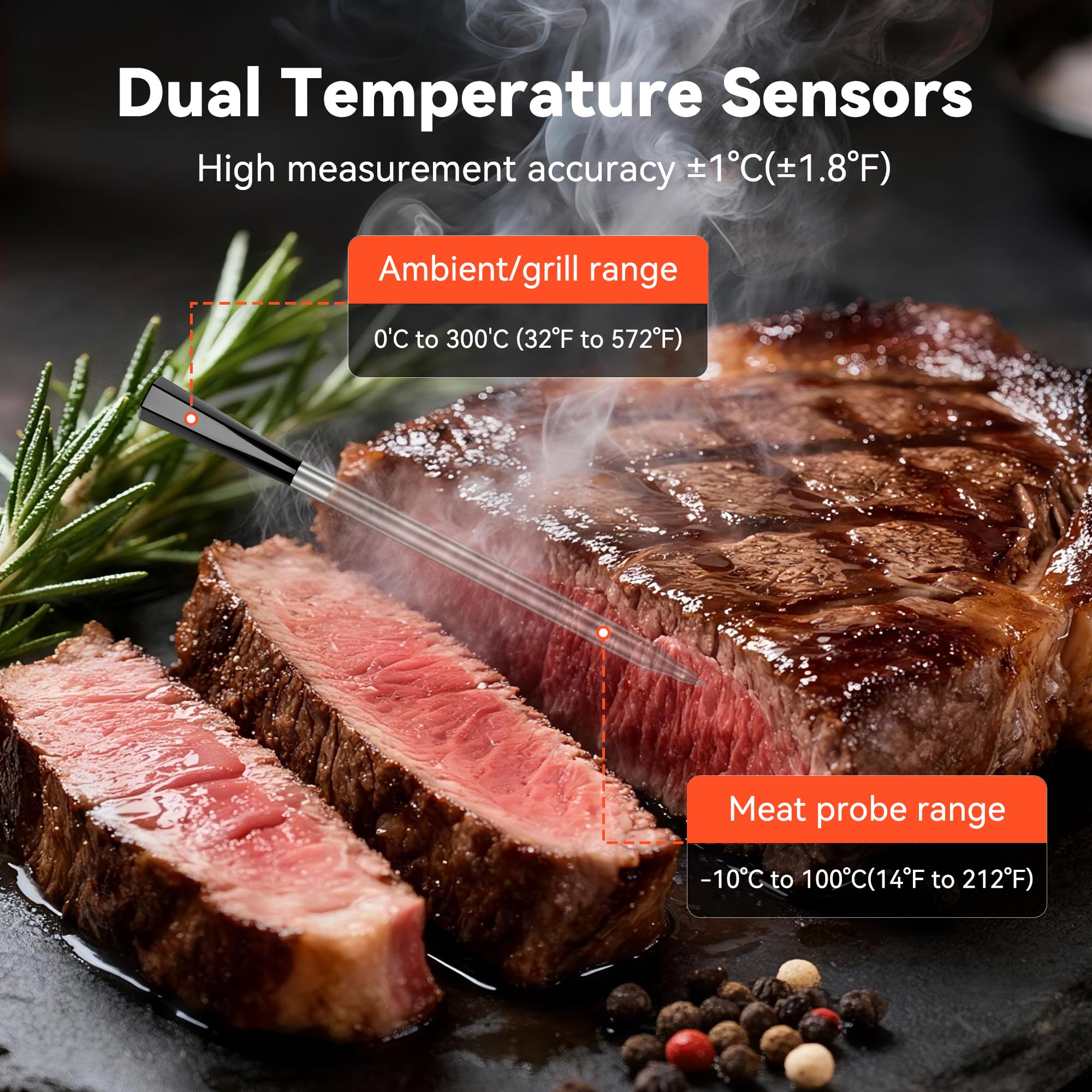 TechRise meat probe close-up showing precise temperature reading.