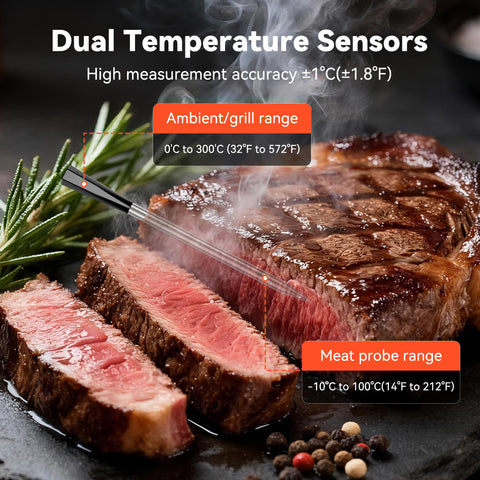 TechRise meat probe close-up showing precise temperature reading.