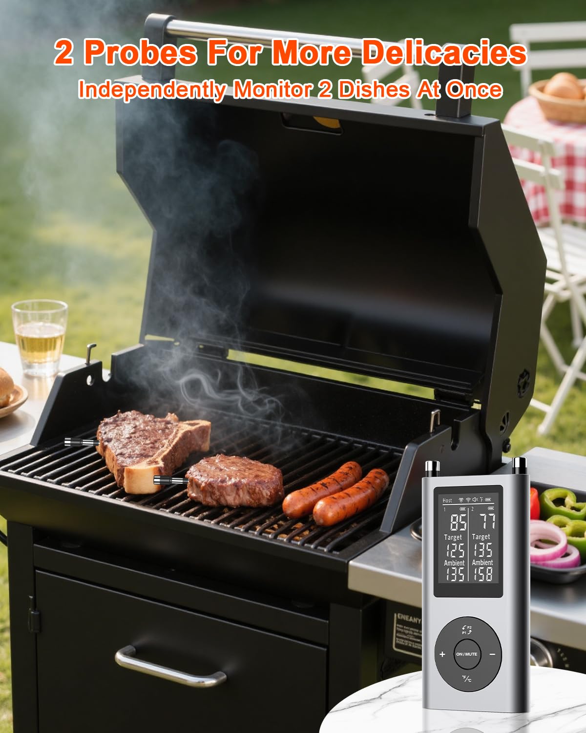 TEMMIO dual-probe setup showing stainless sensors for accurate temps.