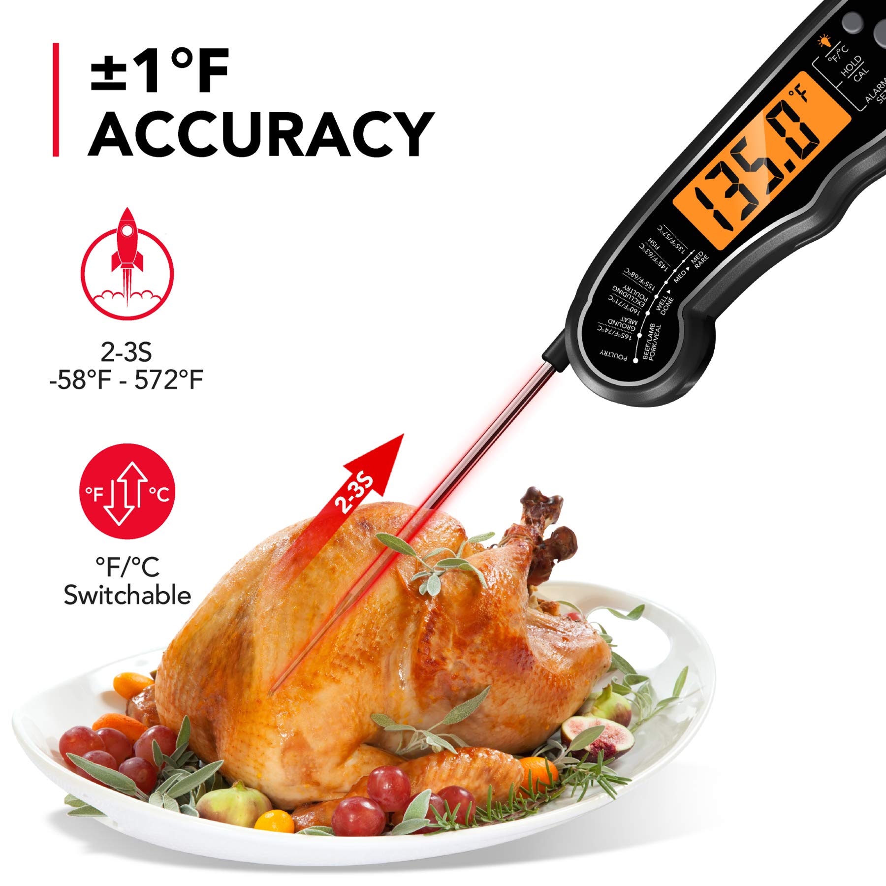 TEMOLA backlit LCD makes reading temperatures easy day or night