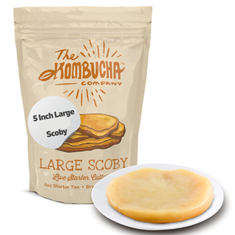 The Kombucha Company large SCOBY for quick, at-home brewing.