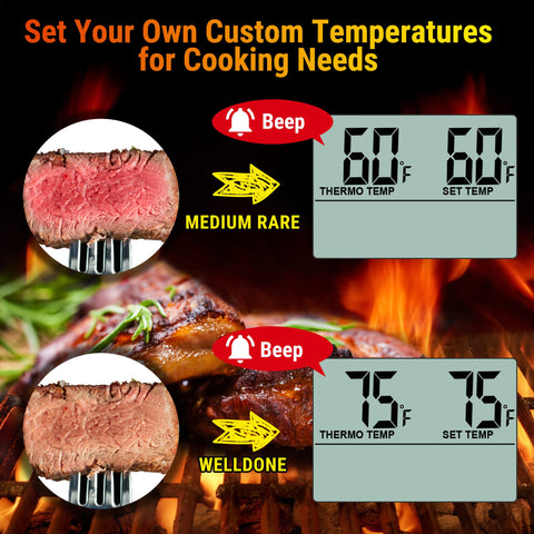 ThermoPro TP16 USDA presets guide you toward common cooking targets