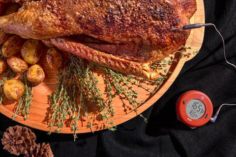 ThermoWorks DOT IP65 durable build resists splashes and spills in busy kitchens.
