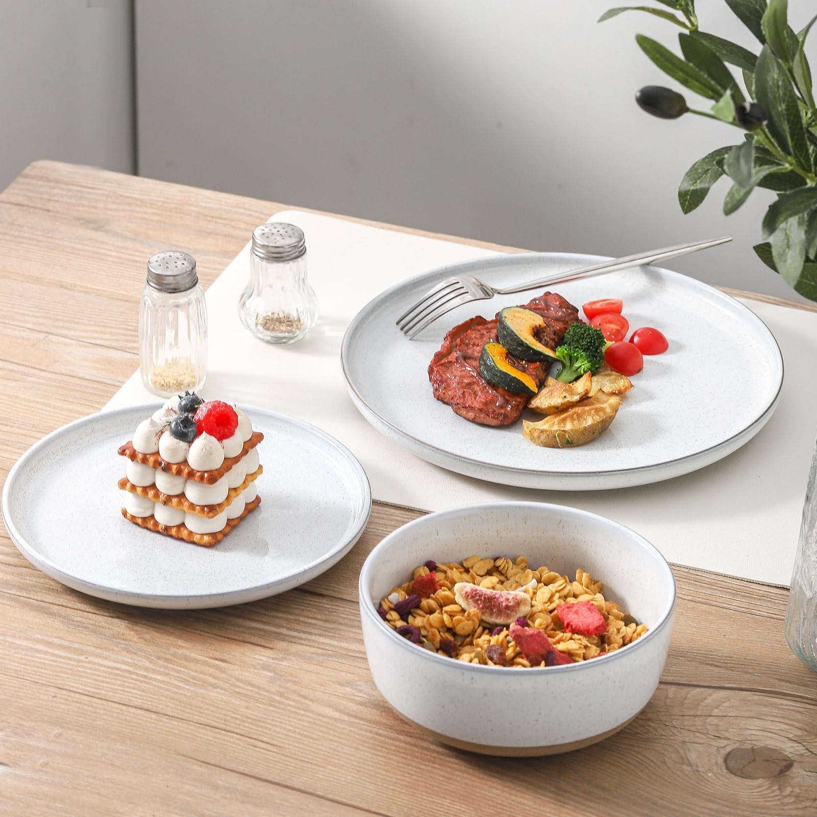 Tikooere ceramic dinner plates oven microwave safe for versatile cooking.