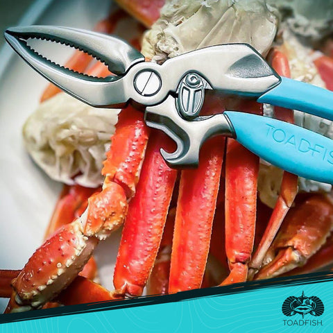 Toadfish ocean conservation mission inspiring responsible kitchen care