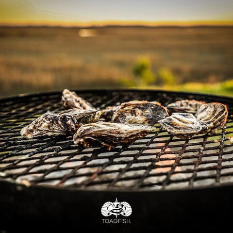Toadfish premium gift-ready packaging enhances special occasions