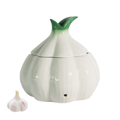 TOIVO Garlic Saver on counter with lid keeps garlic organized and fresh.