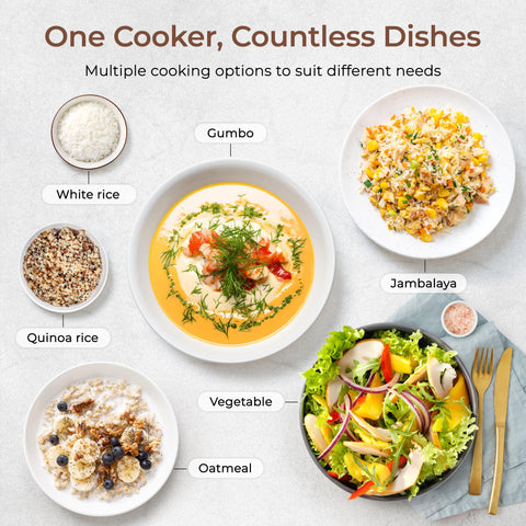 TOKIT rice cooker small display panel with intuitive controls
