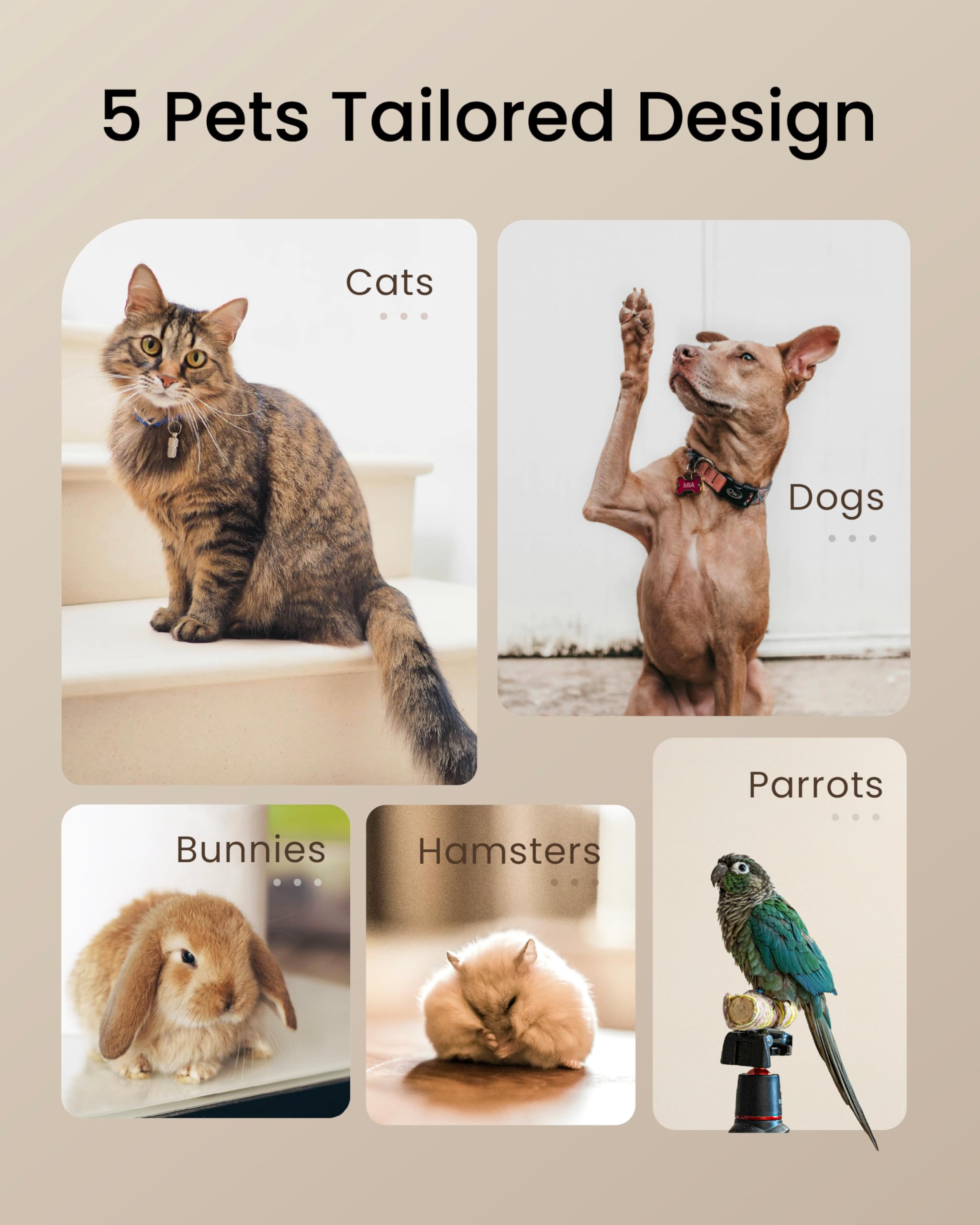 TOPTREES Pet Fresh Maker recipe book offers 100 plus ideas for healthy meals