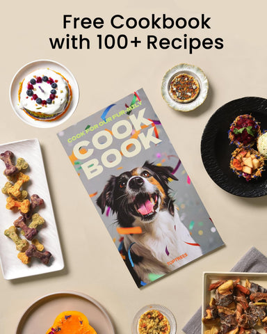 TOPTREES Pet Fresh Maker slow cooks to tender bites with aroma